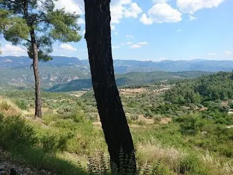 Photo de Alatepe Köyü