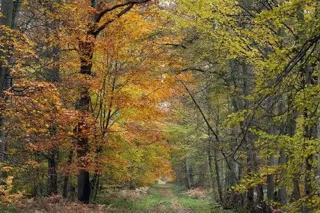 Photo of Parc naturel régional Oise-Pays de France