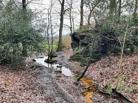 Photo de Hearth of Albion