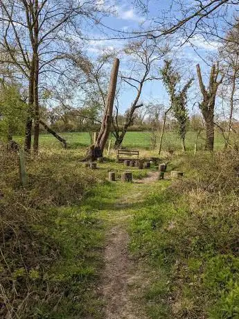 Photo de West Wood  Little Sampford