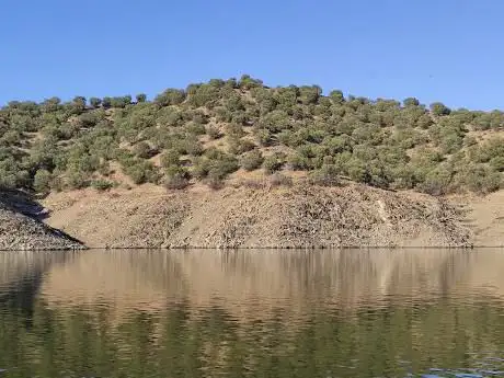 Photo de ZEPA Embalse de Alcántara
