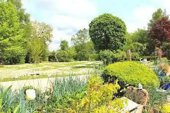 Photo de le buisson de la gariole