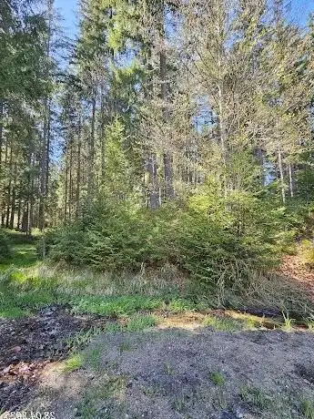 Photo de Goldwaschplatz