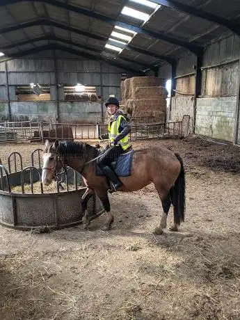 Photo de Northfield Farm Riding and Trekking Centre