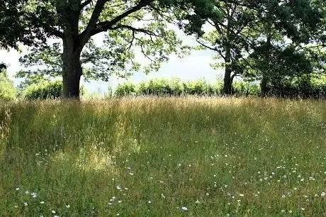Photo de Sättra ängar