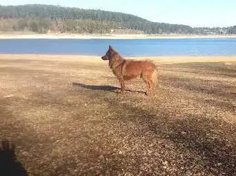 Photo de Le Bois du Lac