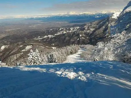 Photo de GS Pigna srl