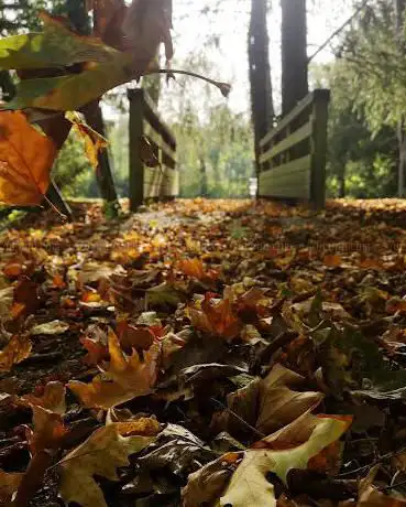 Photo de Parc Bernard Fourmont