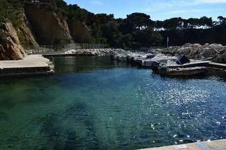 Photo de Calanque Des Figuières