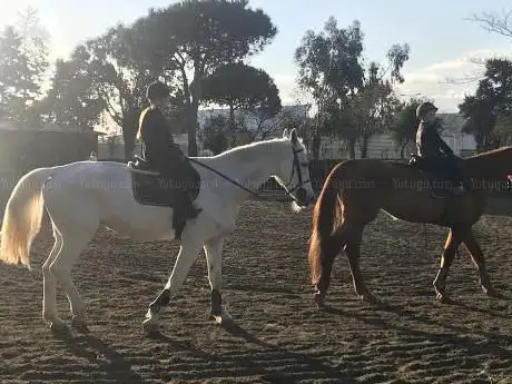 Photo de Equestrian Center Blue Moon