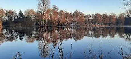 Photo de Pletschbach