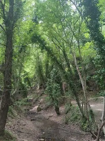 Photo de Yardan Şelalesi