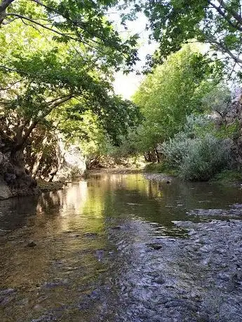 Photo de Çınaraltı Piknik Alanı