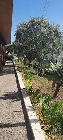 Photo de Parque de Merendas do Jardim das Oliveiras