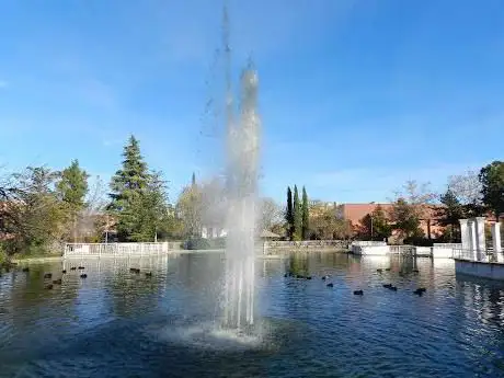 Photo de Olivo Park