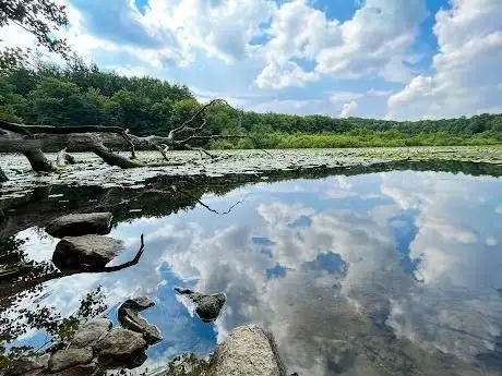 Photo de Roikier See