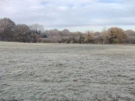 Photo de The Lizard Pastures