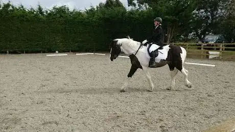 Photo de Wing Jumping & Dressage Centre