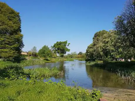Photo de Water Maze