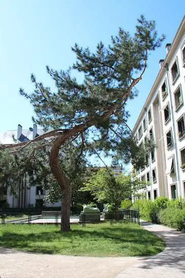 Photo de Square des frères Farman