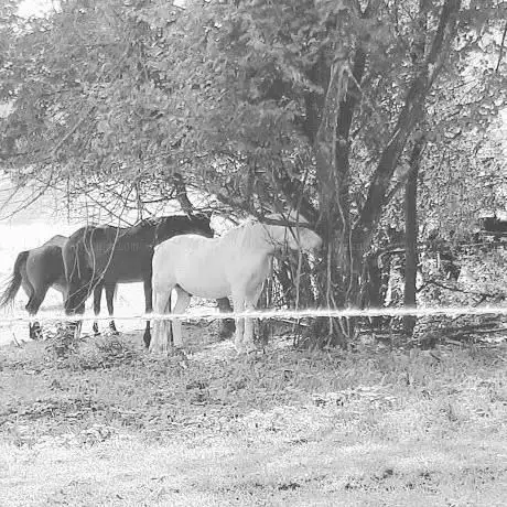 Photo de Ceramic Arena