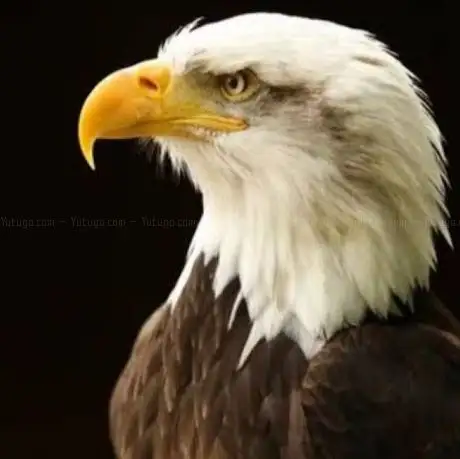 Photo de Çocuk Parkı