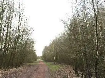 Photo de Chemin des Galibots