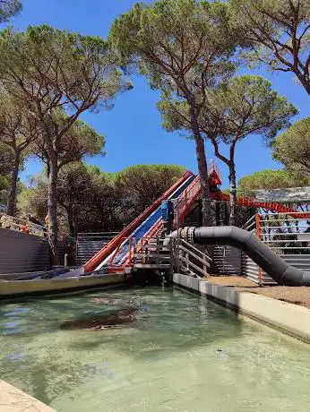 Photo de Jurassic River