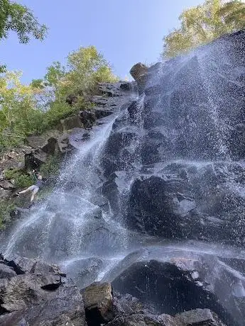 Photo de Lysegårdens Naturreservat