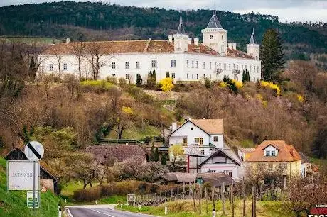 Photo de Schloss Wolfsberg
