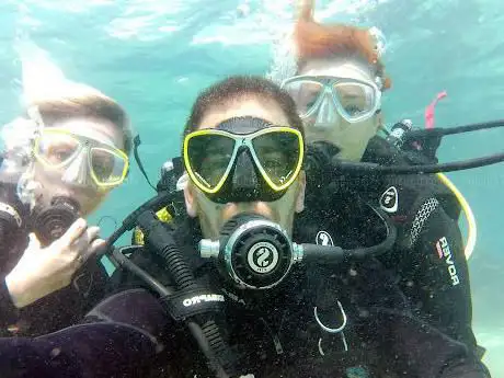 Photo de FREEANDIVERS  escuela de buceo y apnea en Barcelona