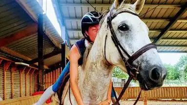 Photo de Le Haras Des Ouches, Equestrian Center Carré Médicis