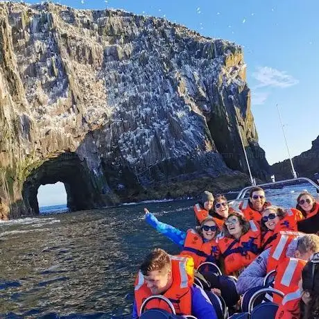 Dursey Boat Trips