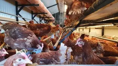 Foto de Jakobs Landei