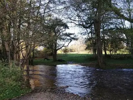 Photo de National Trust - Erddig Parkland