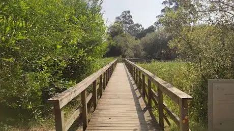 Photo de Biospots da Lagoa de Mira