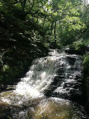 Photo de Walker's Waterfall