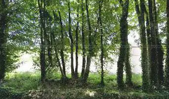 Photo de Stade René Gaillard