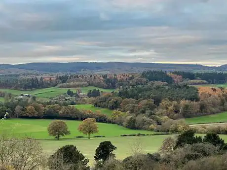 Photo of Newlands Corner