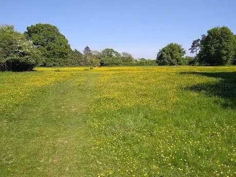 Photo de National Trust - Hatfield Forest