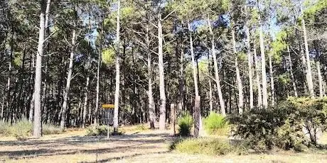 Photo de Disc Golf Mimizan