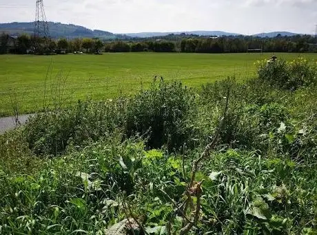 Photo de Dublin Mountains View Walk