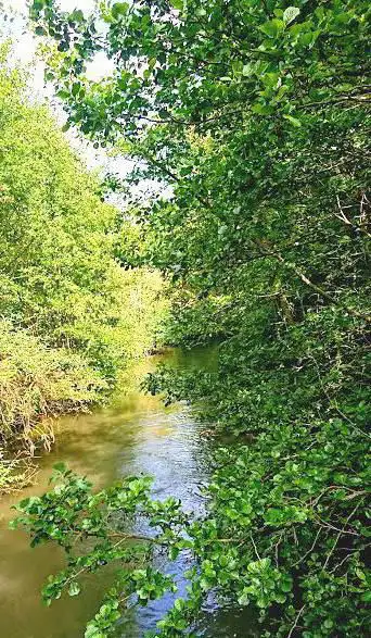 Photo de Parc du Pré du Moulin