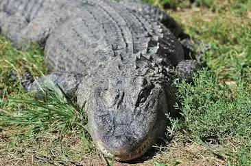 Foto de Tourist Information Center