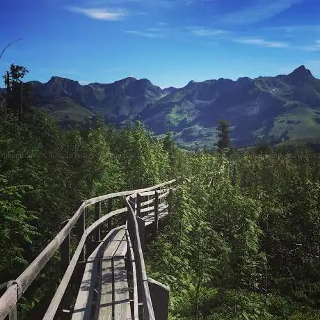 Photo de Gäggersteg Waldwipfelpfad