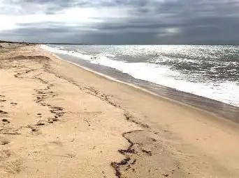Photo de Long Point Wildlife Refuge