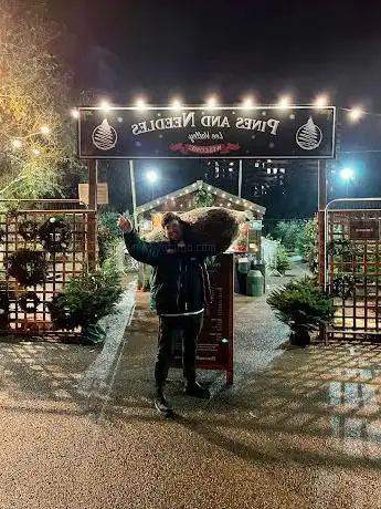 Photo de Pines and Needles