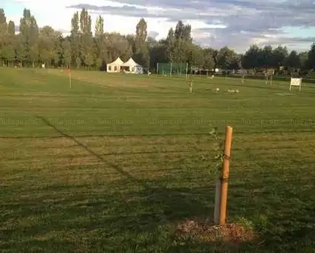 Photo de Swingolf am Selzbogen