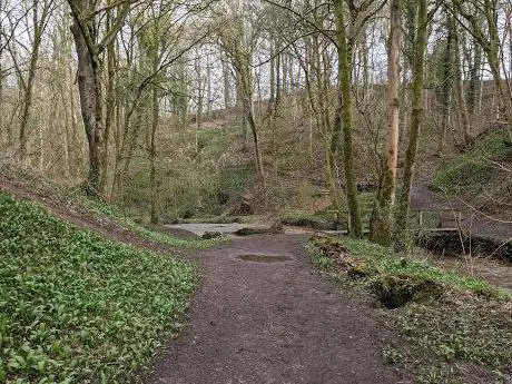 Photo de Poise Brook Local Nature Reserve
