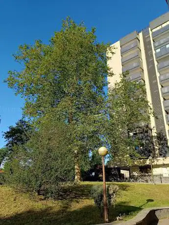 Photo de Tximistarreta Parkea